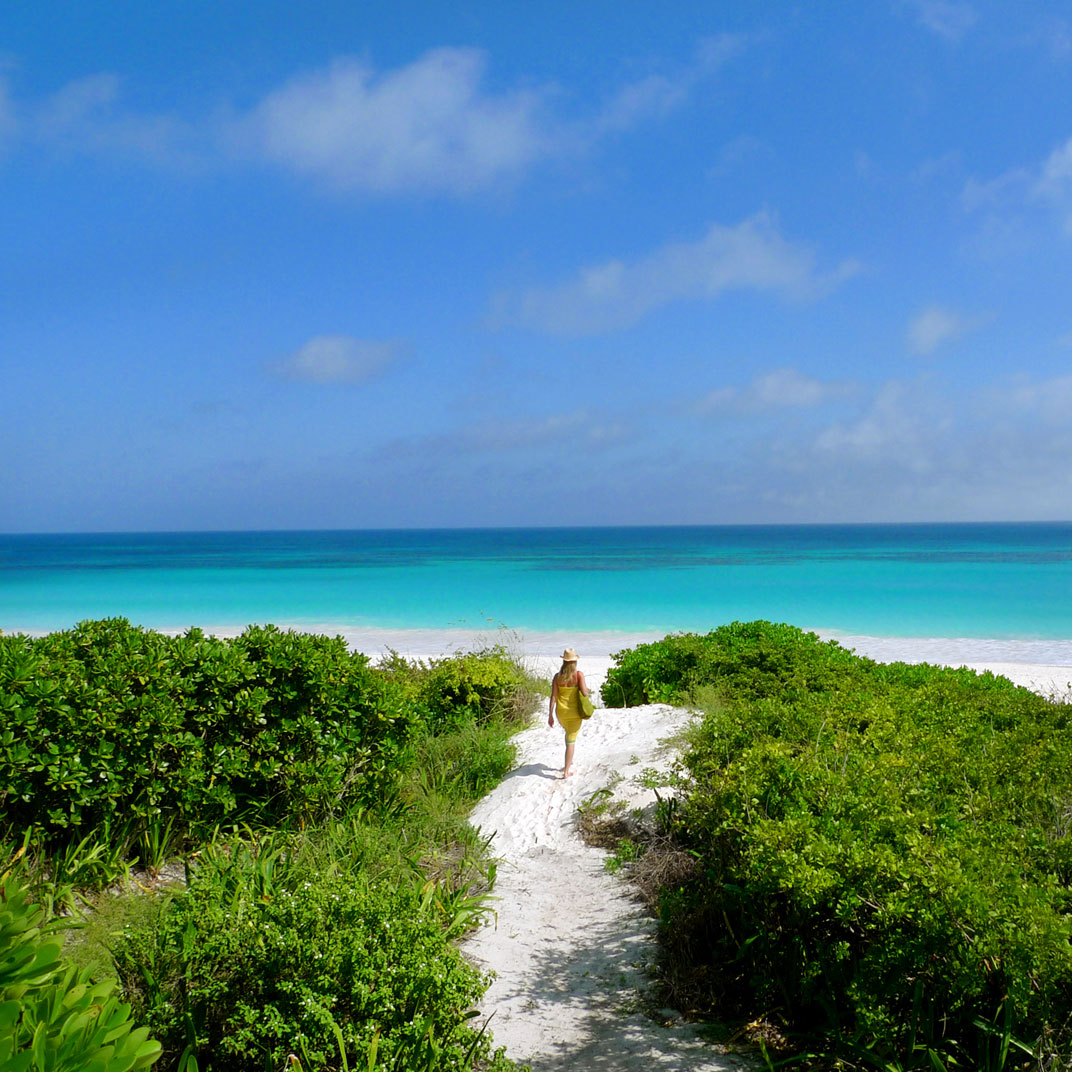 Coral Sands