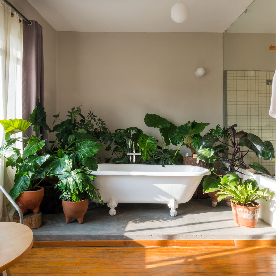 Chaya B&B Boutique