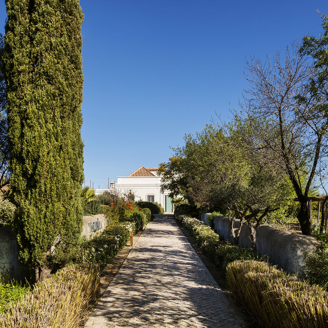 Fazenda Nova - Country House