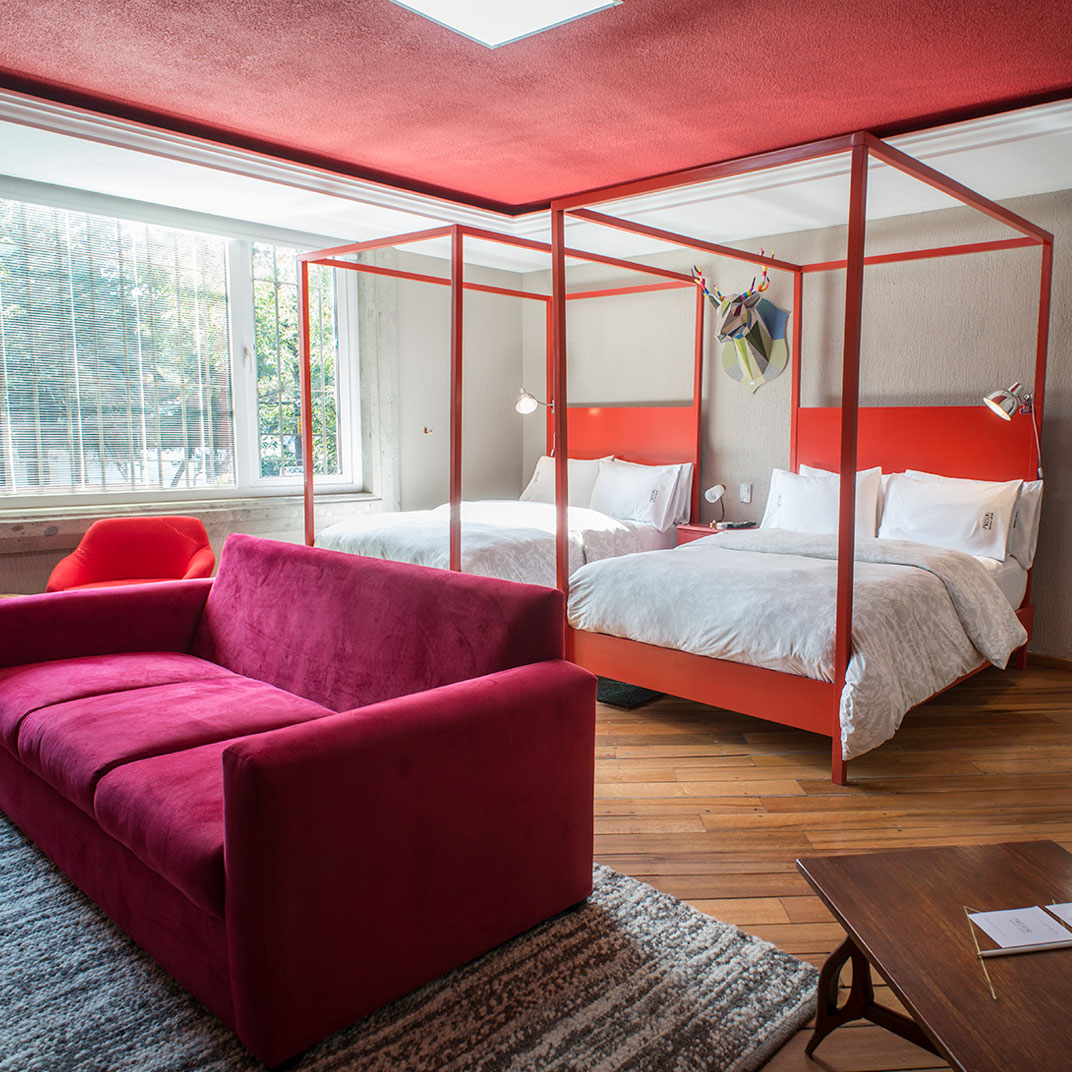 Pug Seal Coyoacan Boutique B&B