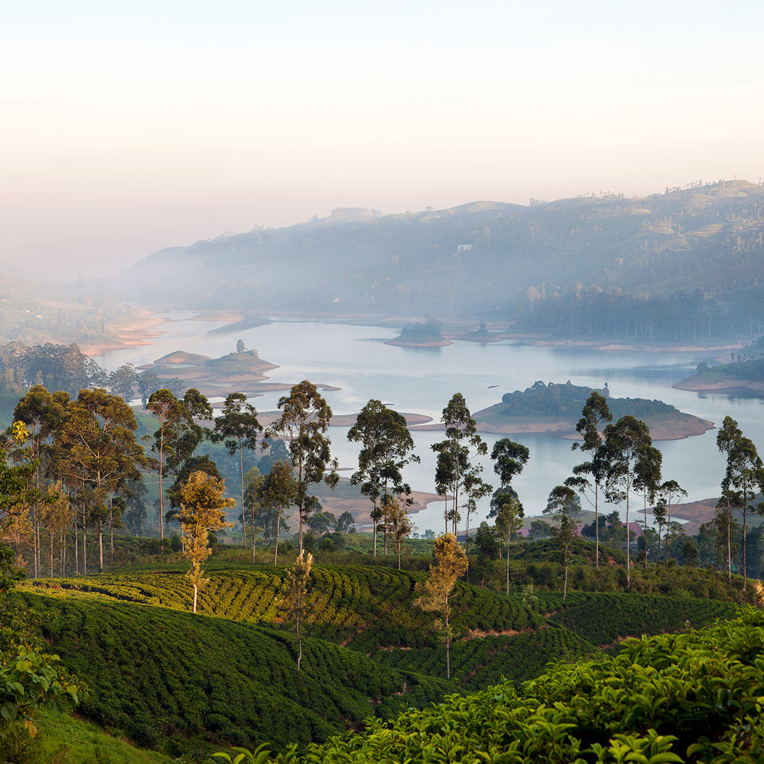 Ceylon Tea Trails – All Inclusive
