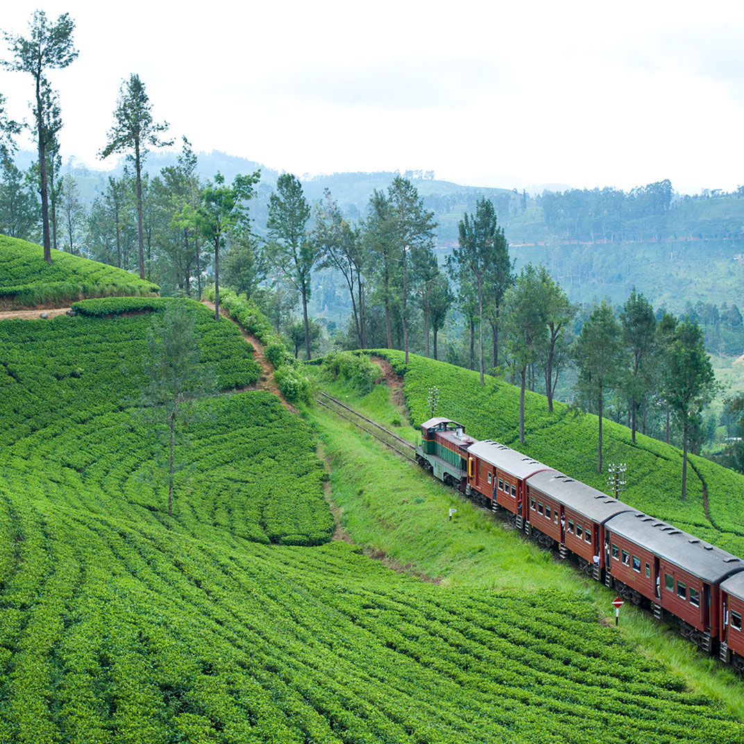Ceylon Tea Trails – All Inclusive