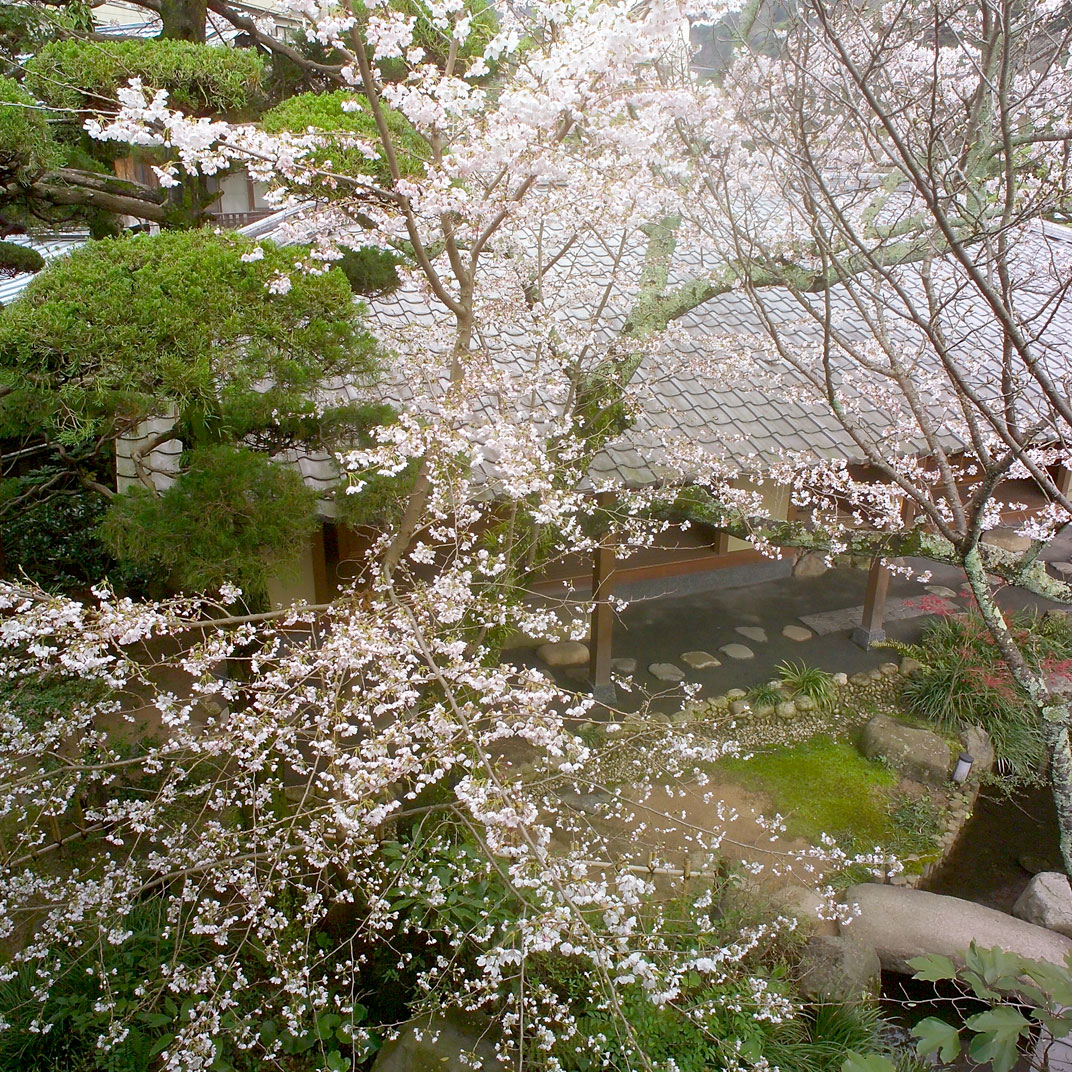 Tocen Goshoboh