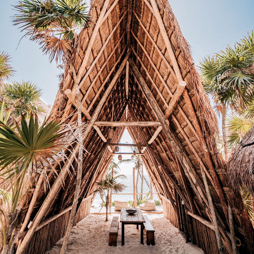 Papaya Playa Project