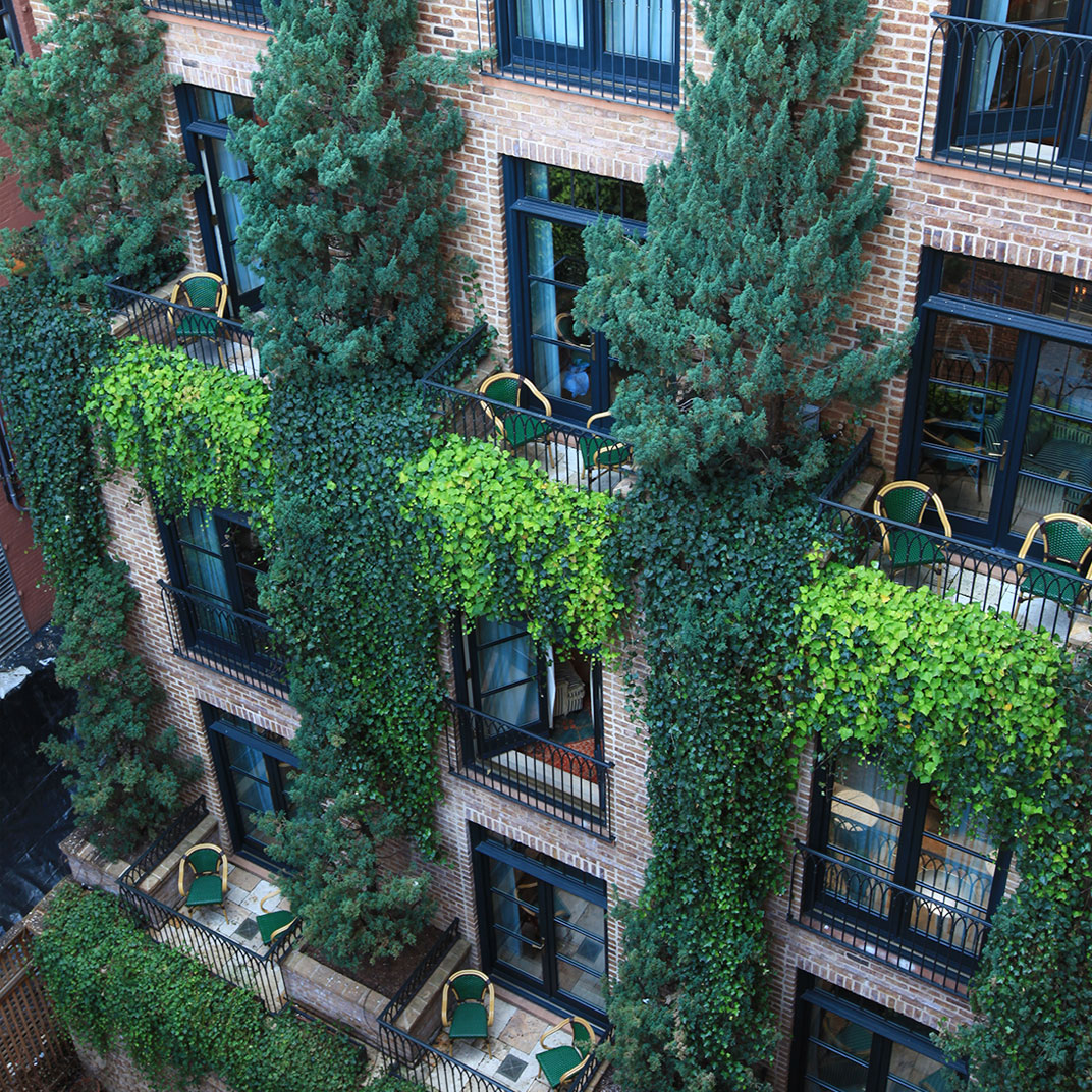 The Greenwich Hotel