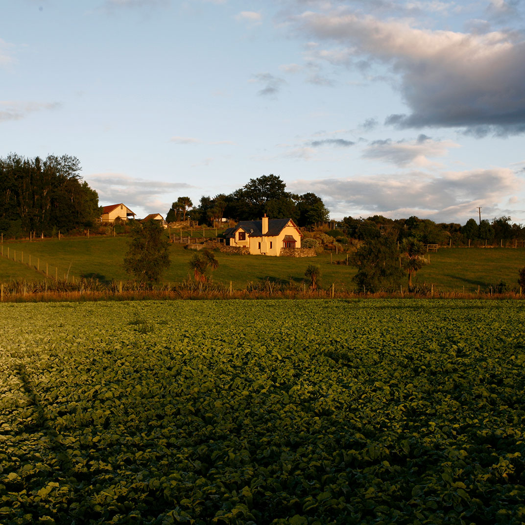 The Lodge at Tikana