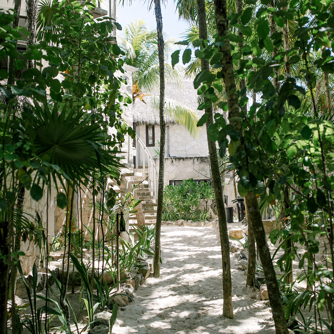 Nest Tulum
