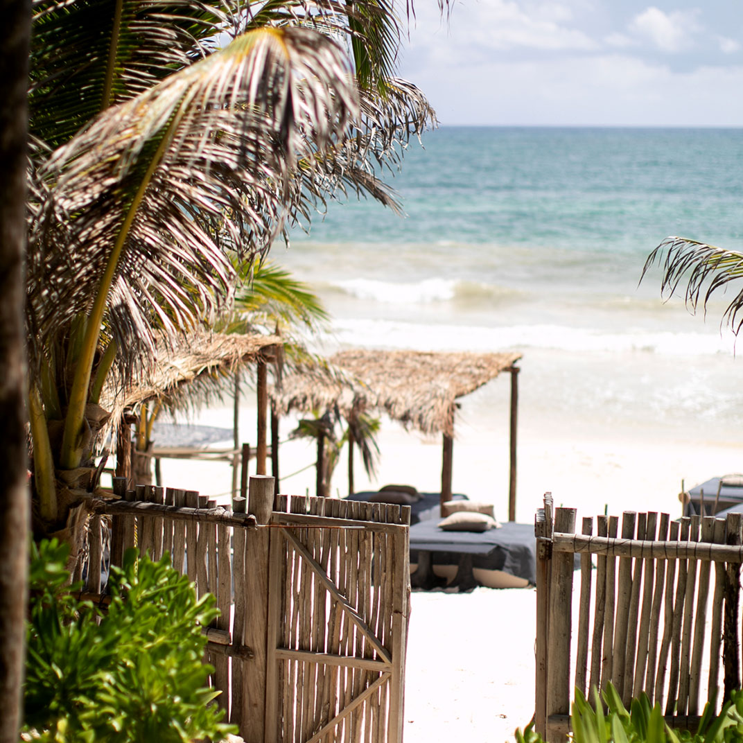 Nest Tulum