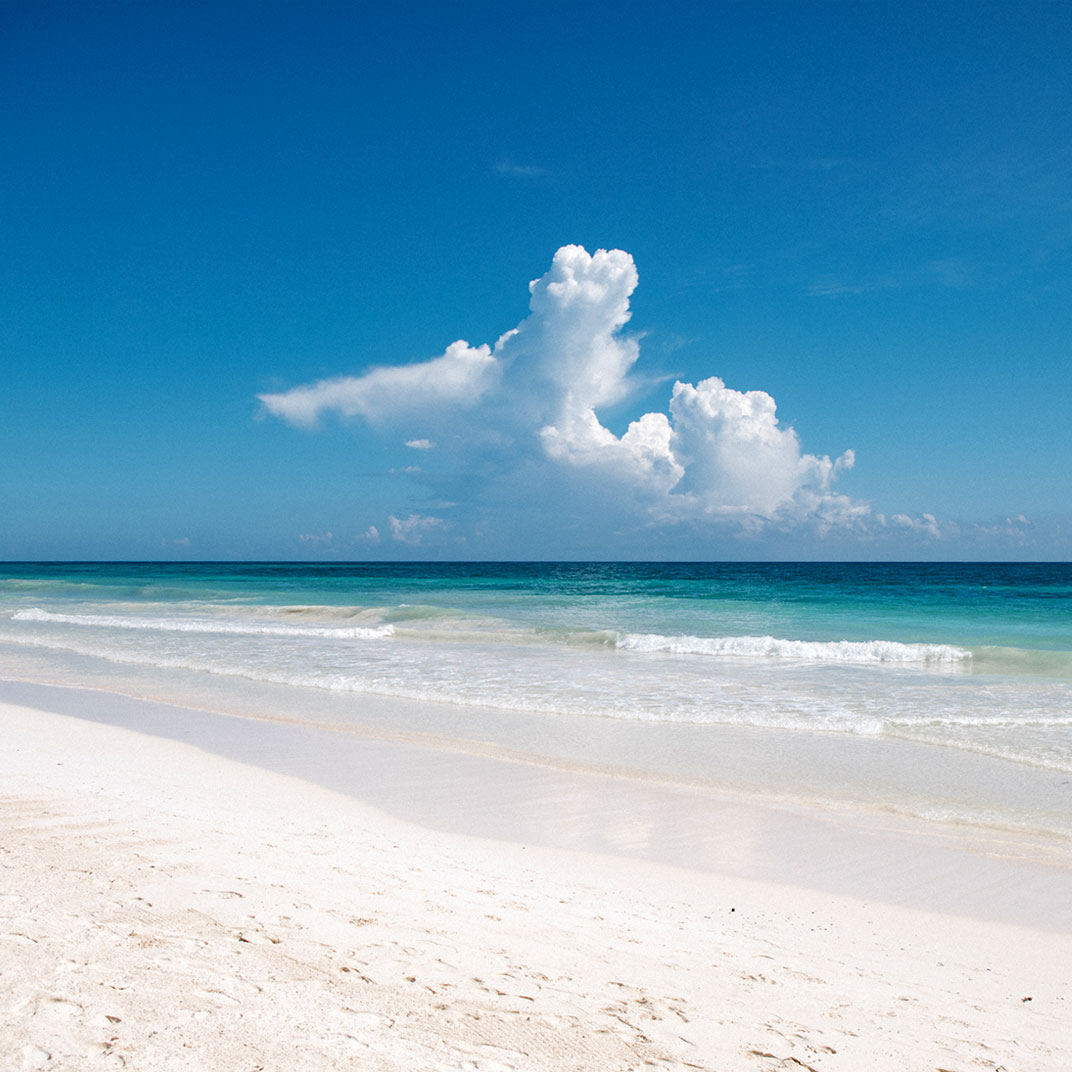 Nest Tulum