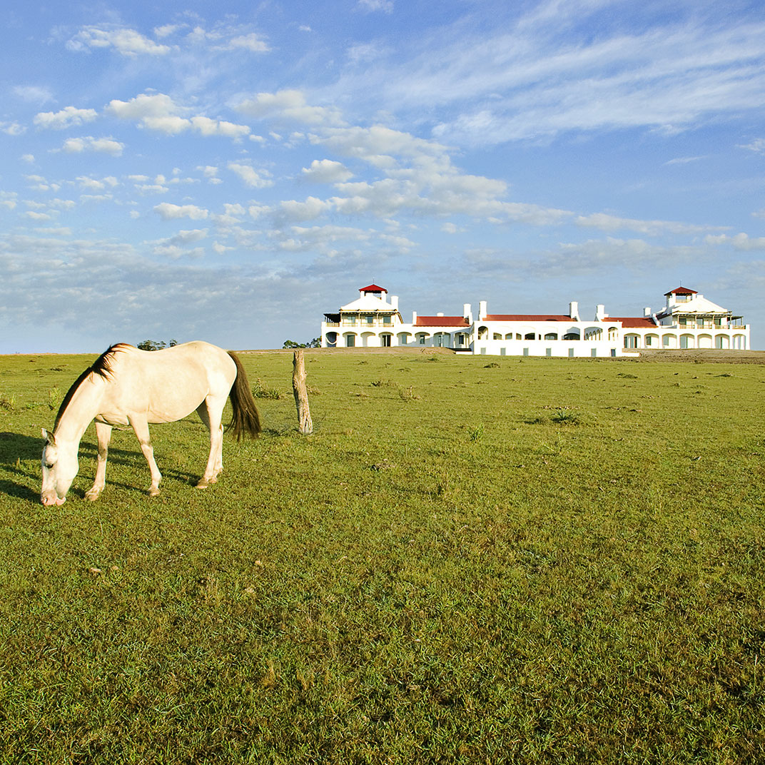 Estancia Vik Jose Ignacio