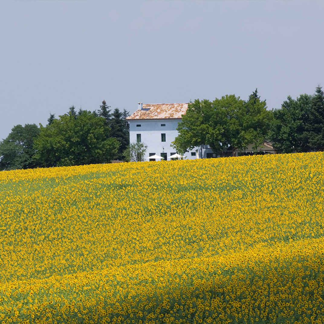 Casa Azzurra