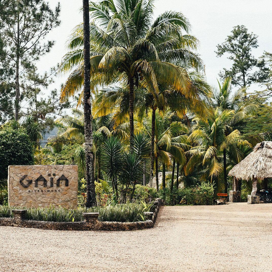 Gaia River Lodge